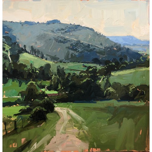 South Downs path summer, 2025